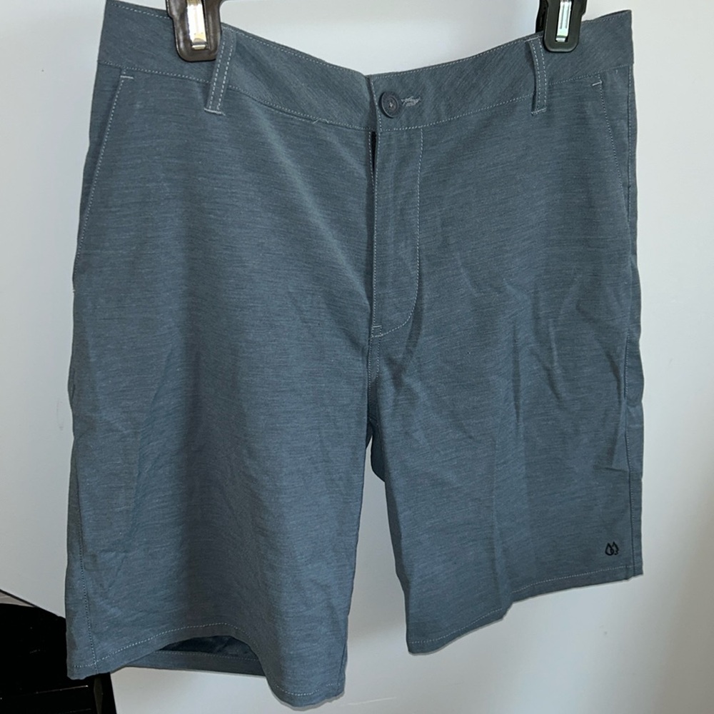 Zumiez Freeword Hybrid Shorts 31